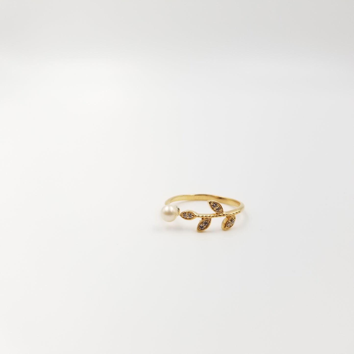 Malcolm Ring - OurDve