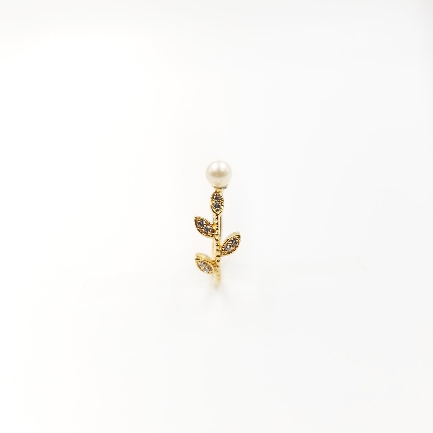 Malcolm Ring - OurDve