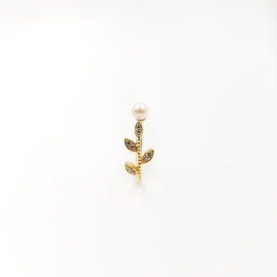 Malcolm Ring - OurDve