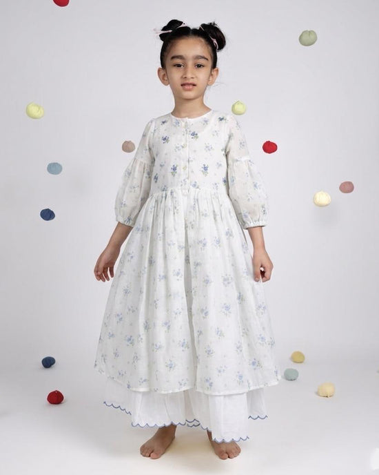 Pixie Dress - Blue Rose Print Organza