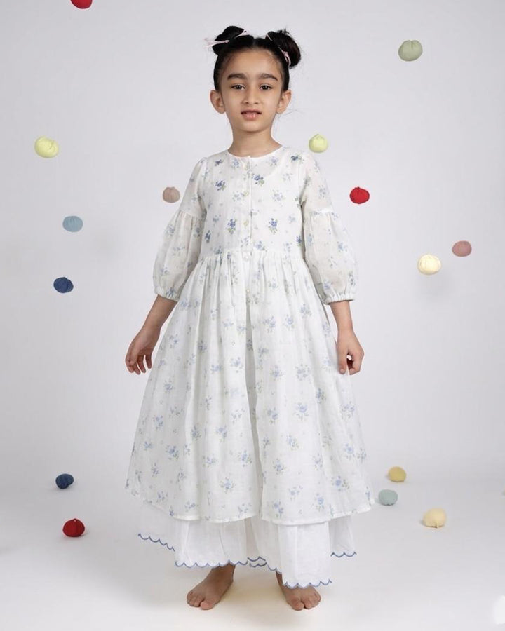 Pixie Dress - Blue Rose Print Organza