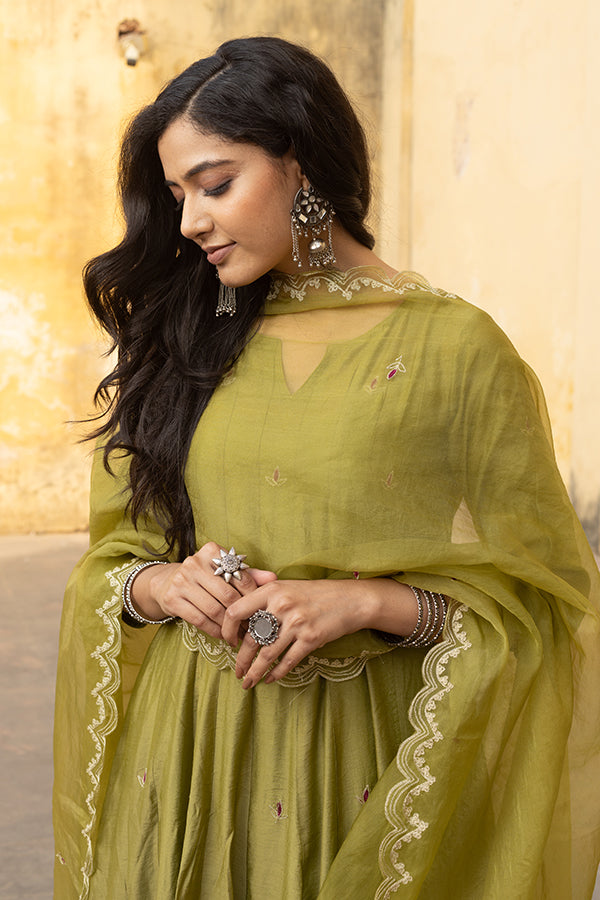 Mehndi Green Zari Jaal Embroidered Anarkali Suit Set