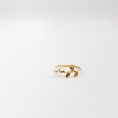 Malcolm Ring - OurDve