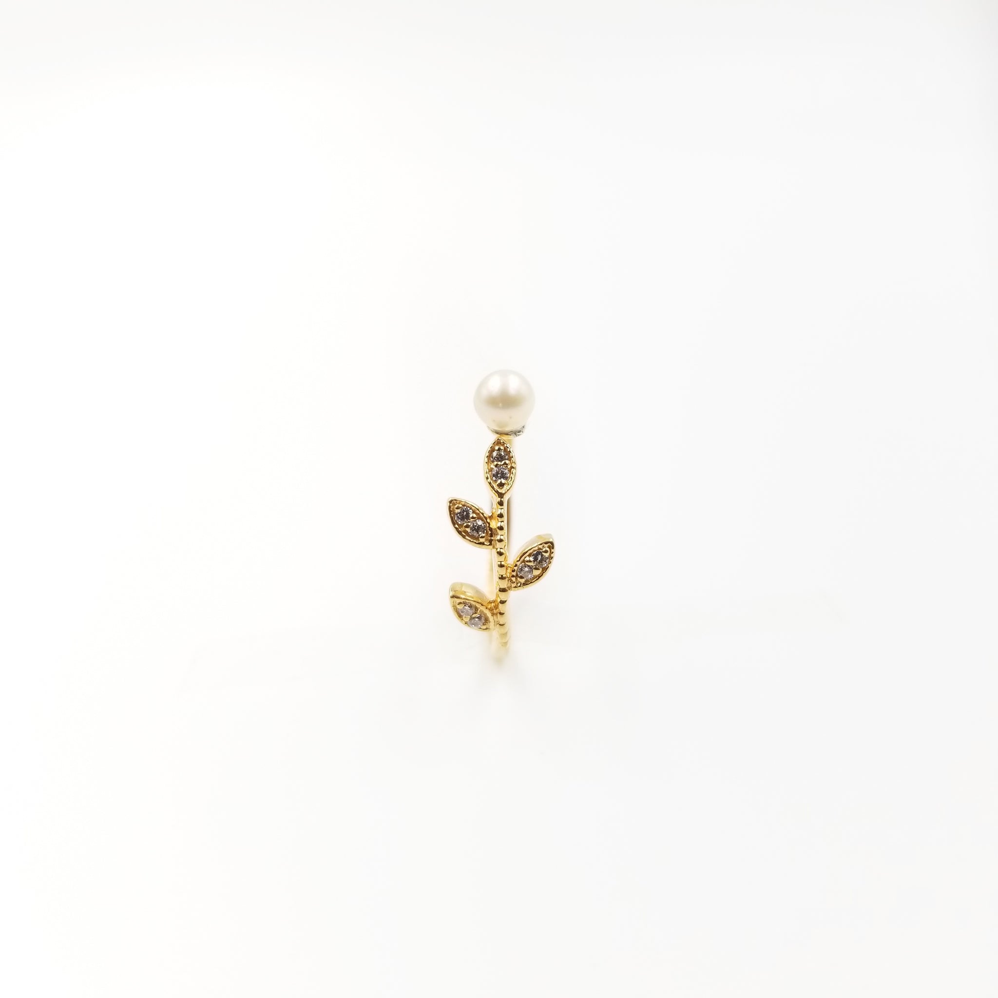 Malcolm Ring - OurDve