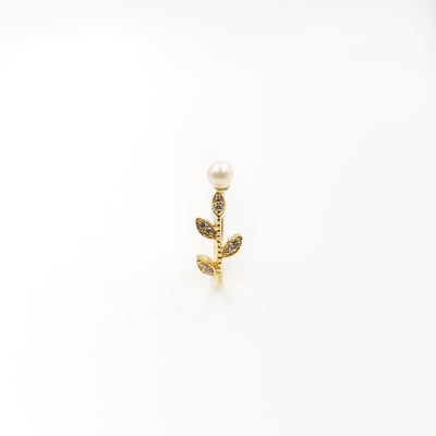 Malcolm Ring - OurDve