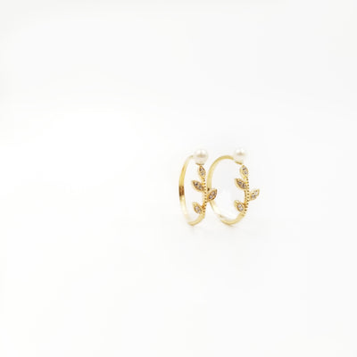 Malcolm Ring - OurDve