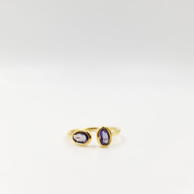 2 Stone Amethyst Ring - OurDve